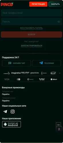 Pinco тиркемеси