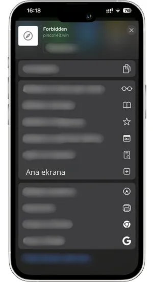 Ana ekrana ekle