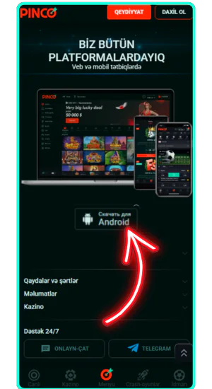 Pinco yüklə