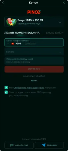 Арызда каттоо