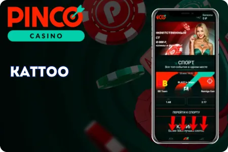 Pinco тиркемеси аркылуу катталуу